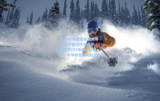 爱游戏-佩德里超越传奇！23岁零18天缔造巴萨西甲150场最年轻纪录，中场新星的崛起之路