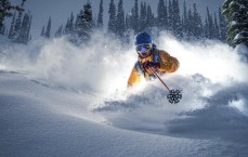 王子归巢！托万重返韦洛德罗姆，爱与伤痕交织的八年红白岁月再回首